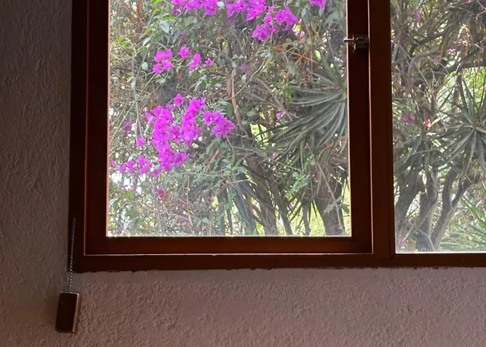 Séjour chez l'habitant Alcazar Coyoacan