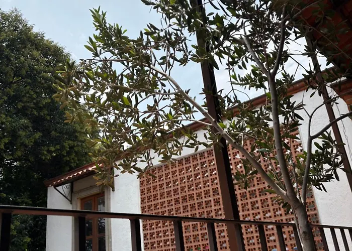 Alcazar Coyoacan * Mexico