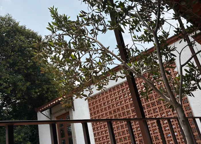Alcazar Coyoacan Séjour chez l'habitant Mexico