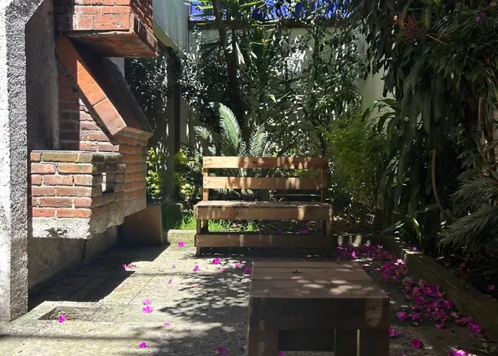 Alcazar Coyoacan Séjour chez l'habitant