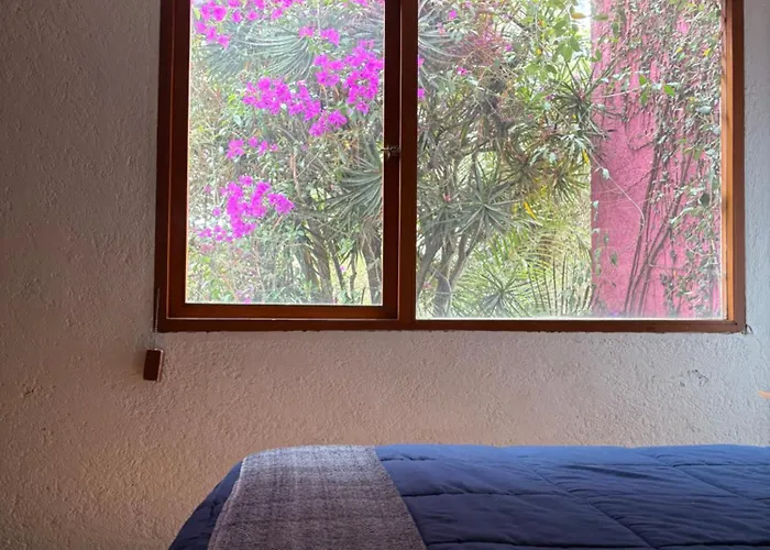 Séjour chez l'habitant Alcazar Coyoacan *