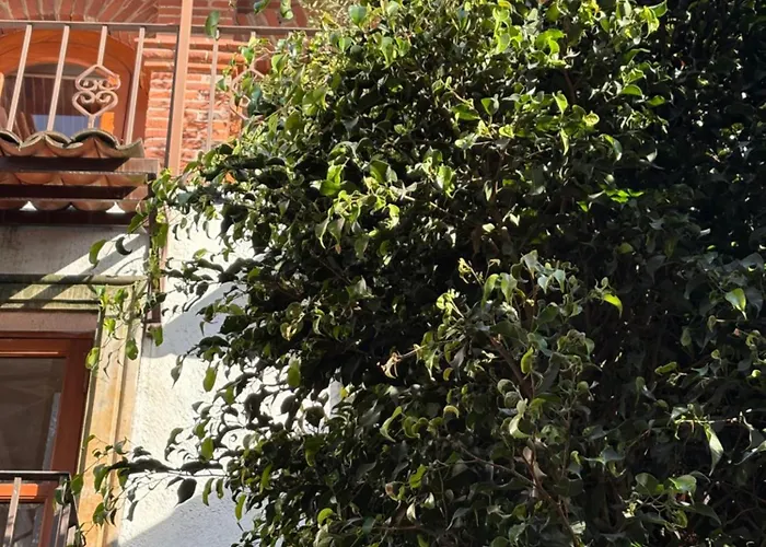 Séjour chez l'habitant Alcazar Coyoacan