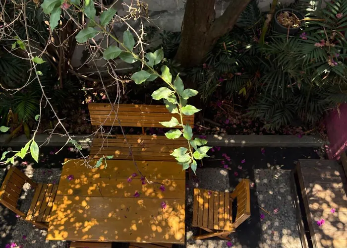 Alcazar Coyoacan Mexico