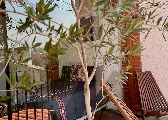 Séjour chez l'habitant Alcazar Coyoacan Mexico