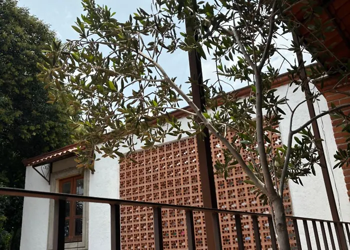 Alcazar Coyoacan