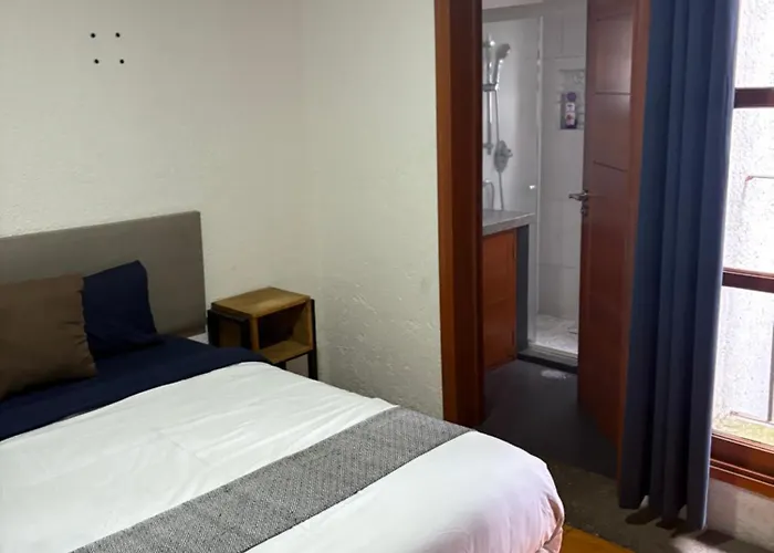 Alcazar Coyoacan Séjour chez l'habitant *